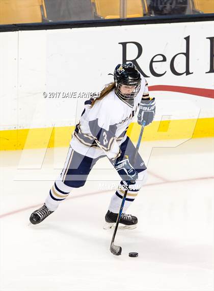 Thumbnail 1 in Needham vs. Woburn Memorial (MIAA Division 1 Final) photogallery.