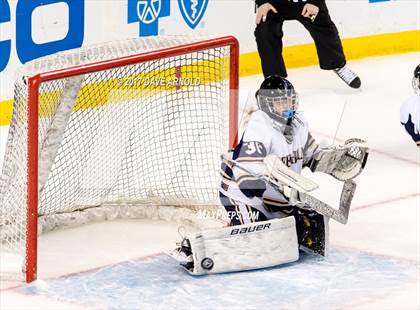 Thumbnail 3 in Needham vs. Woburn Memorial (MIAA Division 1 Final) photogallery.