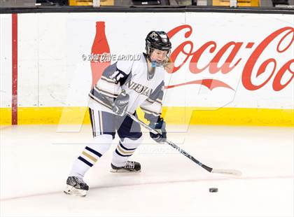 Thumbnail 3 in Needham vs. Woburn Memorial (MIAA Division 1 Final) photogallery.