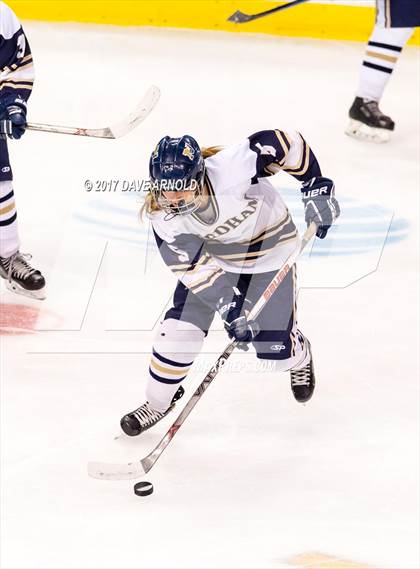 Thumbnail 1 in Needham vs. Woburn Memorial (MIAA Division 1 Final) photogallery.