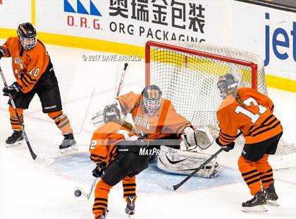 Thumbnail 1 in Needham vs. Woburn Memorial (MIAA Division 1 Final) photogallery.