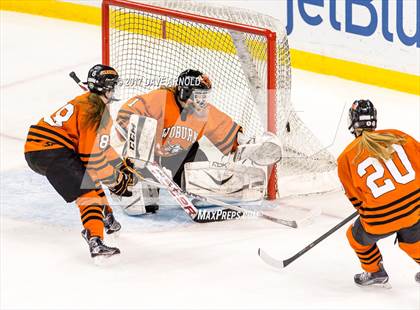 Thumbnail 3 in Needham vs. Woburn Memorial (MIAA Division 1 Final) photogallery.