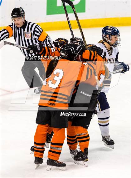 Thumbnail 3 in Needham vs. Woburn Memorial (MIAA Division 1 Final) photogallery.