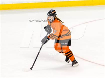 Thumbnail 1 in Needham vs. Woburn Memorial (MIAA Division 1 Final) photogallery.