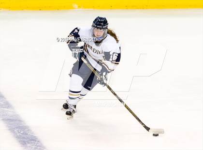 Thumbnail 3 in Needham vs. Woburn Memorial (MIAA Division 1 Final) photogallery.