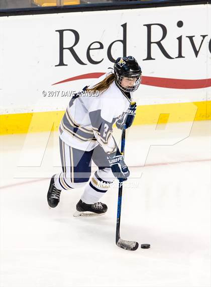 Thumbnail 2 in Needham vs. Woburn Memorial (MIAA Division 1 Final) photogallery.