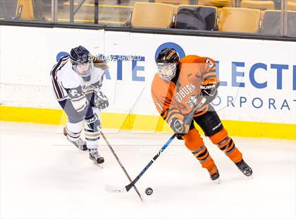 Thumbnail 2 in Needham vs. Woburn Memorial (MIAA Division 1 Final) photogallery.