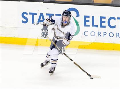 Thumbnail 3 in Needham vs. Woburn Memorial (MIAA Division 1 Final) photogallery.