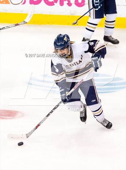 Thumbnail 2 in Needham vs. Woburn Memorial (MIAA Division 1 Final) photogallery.