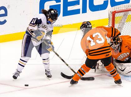 Thumbnail 2 in Needham vs. Woburn Memorial (MIAA Division 1 Final) photogallery.
