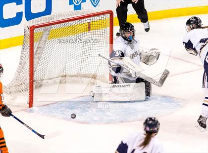 Thumbnail 1 in Needham vs. Woburn Memorial (MIAA Division 1 Final) photogallery.