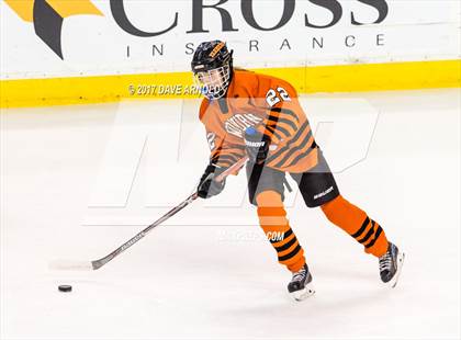 Thumbnail 1 in Needham vs. Woburn Memorial (MIAA Division 1 Final) photogallery.