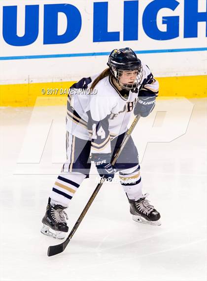 Thumbnail 2 in Needham vs. Woburn Memorial (MIAA Division 1 Final) photogallery.