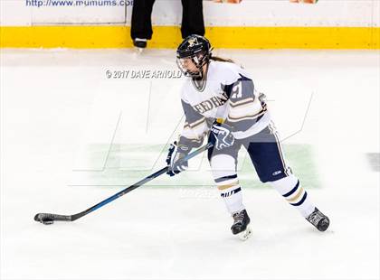 Thumbnail 3 in Needham vs. Woburn Memorial (MIAA Division 1 Final) photogallery.