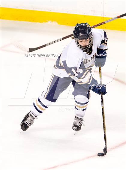 Thumbnail 2 in Needham vs. Woburn Memorial (MIAA Division 1 Final) photogallery.