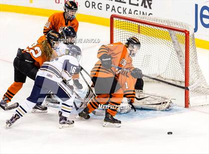 Thumbnail 1 in Needham vs. Woburn Memorial (MIAA Division 1 Final) photogallery.