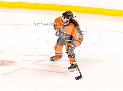 Thumbnail 3 in Needham vs. Woburn Memorial (MIAA Division 1 Final) photogallery.