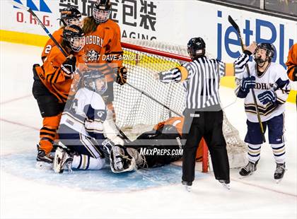 Thumbnail 3 in Needham vs. Woburn Memorial (MIAA Division 1 Final) photogallery.