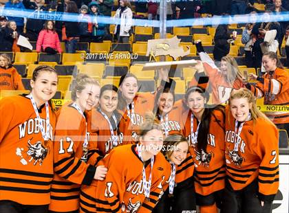 Thumbnail 3 in Needham vs. Woburn Memorial (MIAA Division 1 Final) photogallery.