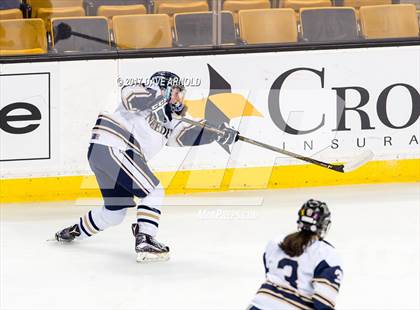 Thumbnail 1 in Needham vs. Woburn Memorial (MIAA Division 1 Final) photogallery.