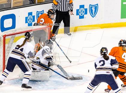 Thumbnail 1 in Needham vs. Woburn Memorial (MIAA Division 1 Final) photogallery.