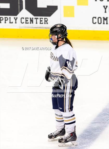 Thumbnail 1 in Needham vs. Woburn Memorial (MIAA Division 1 Final) photogallery.