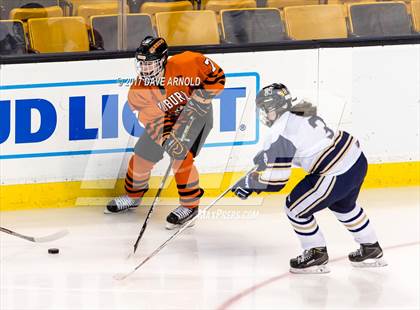 Thumbnail 1 in Needham vs. Woburn Memorial (MIAA Division 1 Final) photogallery.