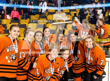 Thumbnail 2 in Needham vs. Woburn Memorial (MIAA Division 1 Final) photogallery.
