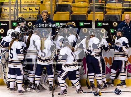 Thumbnail 1 in Needham vs. Woburn Memorial (MIAA Division 1 Final) photogallery.