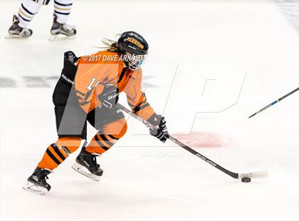 Thumbnail 1 in Needham vs. Woburn Memorial (MIAA Division 1 Final) photogallery.