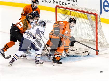 Thumbnail 2 in Needham vs. Woburn Memorial (MIAA Division 1 Final) photogallery.