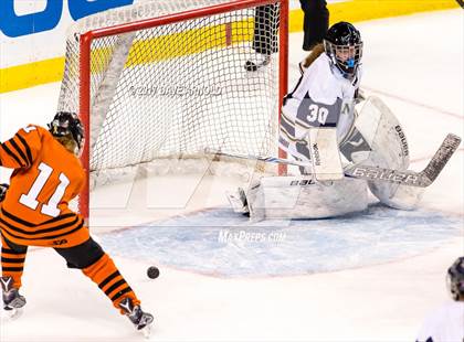 Thumbnail 2 in Needham vs. Woburn Memorial (MIAA Division 1 Final) photogallery.
