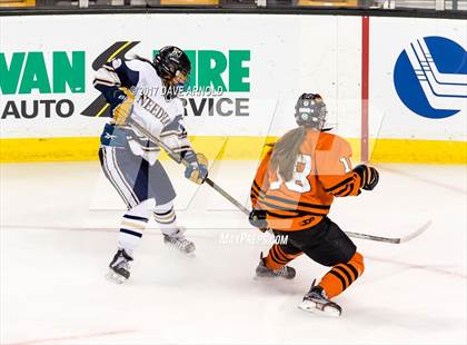 Thumbnail 1 in Needham vs. Woburn Memorial (MIAA Division 1 Final) photogallery.
