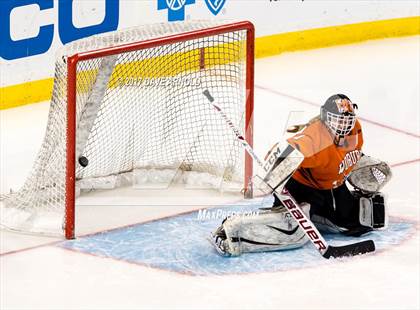 Thumbnail 1 in Needham vs. Woburn Memorial (MIAA Division 1 Final) photogallery.