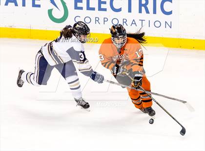 Thumbnail 1 in Needham vs. Woburn Memorial (MIAA Division 1 Final) photogallery.