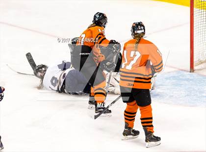 Thumbnail 1 in Needham vs. Woburn Memorial (MIAA Division 1 Final) photogallery.