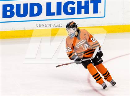 Thumbnail 1 in Needham vs. Woburn Memorial (MIAA Division 1 Final) photogallery.