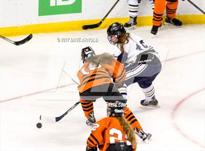 Thumbnail 3 in Needham vs. Woburn Memorial (MIAA Division 1 Final) photogallery.