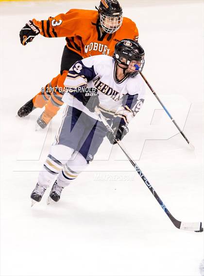 Thumbnail 2 in Needham vs. Woburn Memorial (MIAA Division 1 Final) photogallery.
