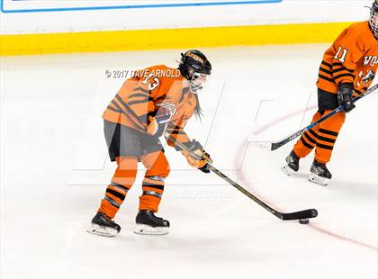 Thumbnail 2 in Needham vs. Woburn Memorial (MIAA Division 1 Final) photogallery.