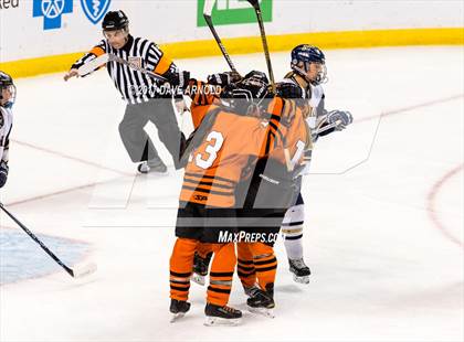 Thumbnail 2 in Needham vs. Woburn Memorial (MIAA Division 1 Final) photogallery.