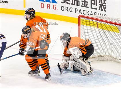 Thumbnail 2 in Needham vs. Woburn Memorial (MIAA Division 1 Final) photogallery.