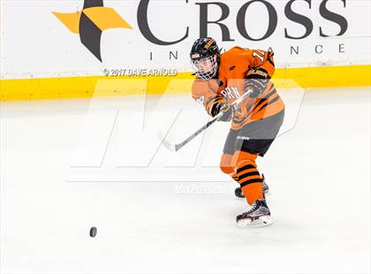 Thumbnail 2 in Needham vs. Woburn Memorial (MIAA Division 1 Final) photogallery.
