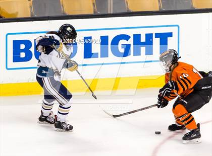 Thumbnail 3 in Needham vs. Woburn Memorial (MIAA Division 1 Final) photogallery.