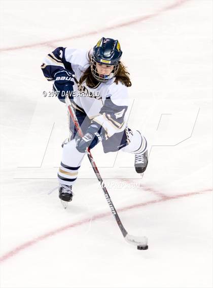 Thumbnail 2 in Needham vs. Woburn Memorial (MIAA Division 1 Final) photogallery.