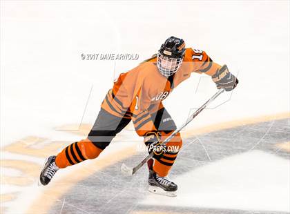 Thumbnail 1 in Needham vs. Woburn Memorial (MIAA Division 1 Final) photogallery.