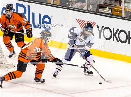 Thumbnail 2 in Needham vs. Woburn Memorial (MIAA Division 1 Final) photogallery.