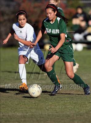 Thumbnail 2 in Palo Alto @ Homestead photogallery.