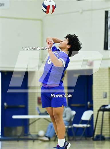 null - Photo 11