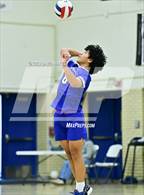 Photo from the gallery "Hinkley @ Kennedy"